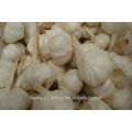 buy 2017 new crop chinese white pure frozen garlic